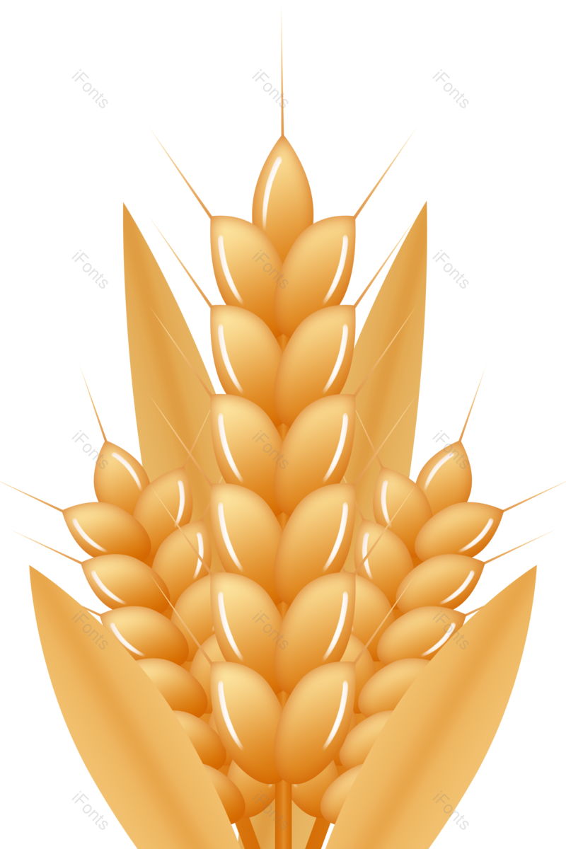 芒种图片,小满元素,稻谷PNG,秋天免抠素材